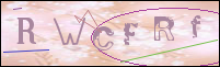 صورة التسجيل