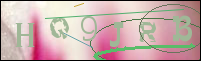 صورة التسجيل