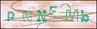 صورة التسجيل