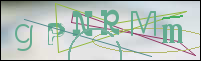 صورة التسجيل