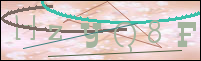 صورة التسجيل