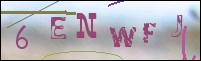 صورة التسجيل