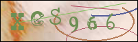 صورة التسجيل